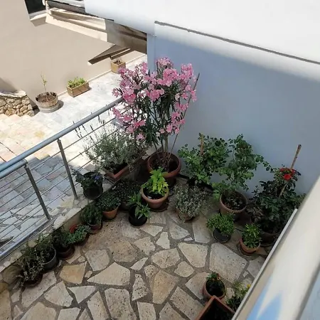 Family Apartment