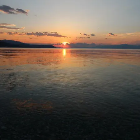 Daire Family Dhervénion